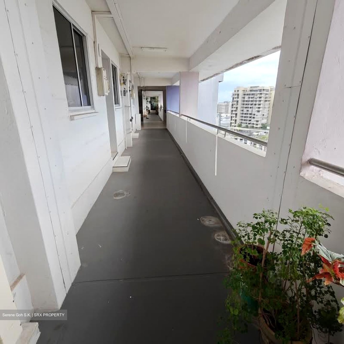 Blk 419 Bedok North Street 1 (Bedok), HDB 3 Rooms #553493521